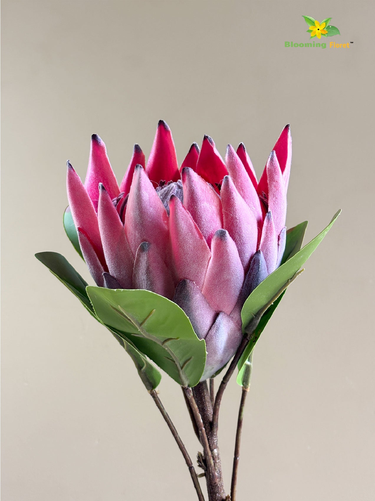 Queen Protea Flower Stick - Pink