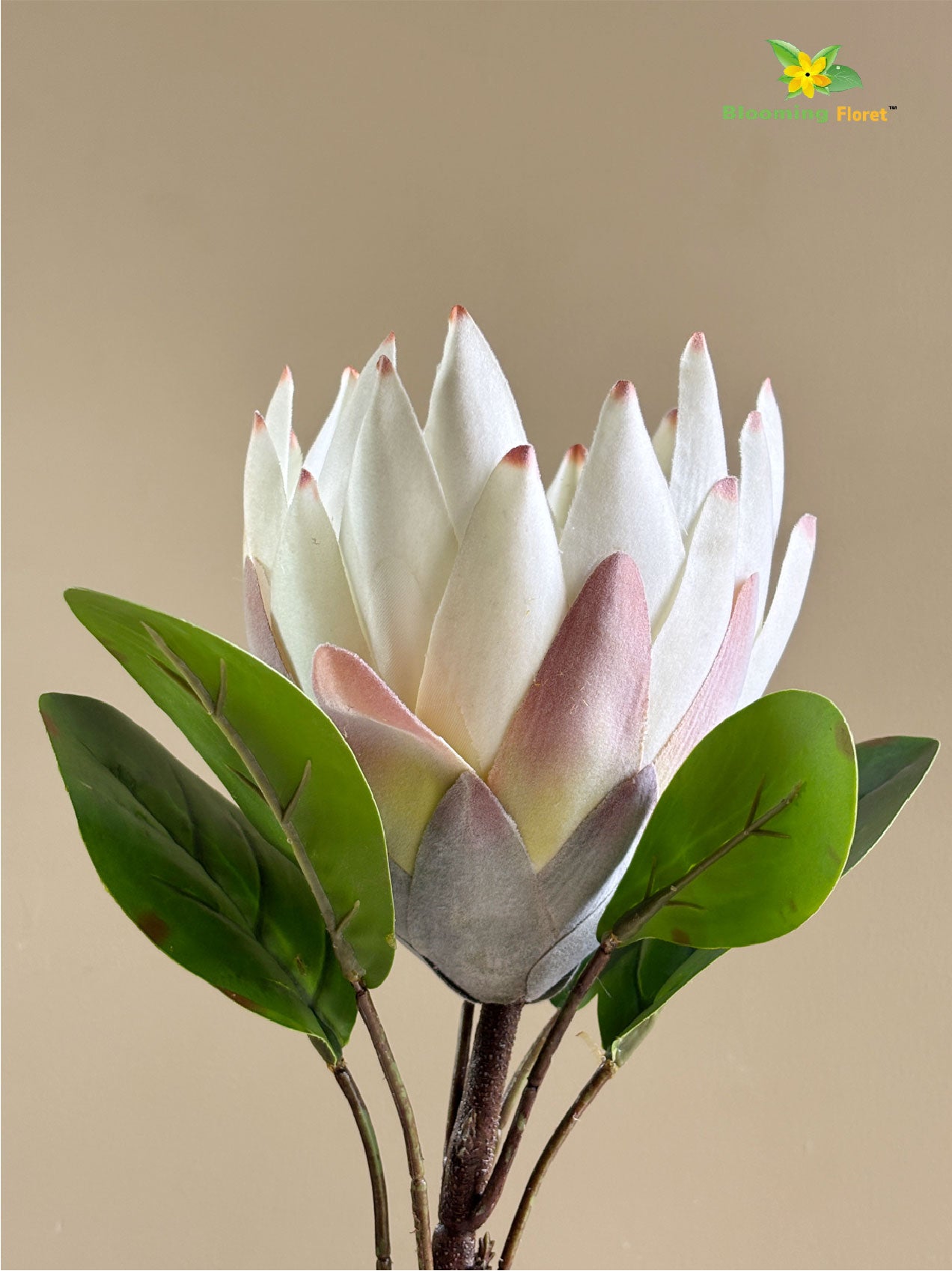 Queen Protea Flower Stick - White