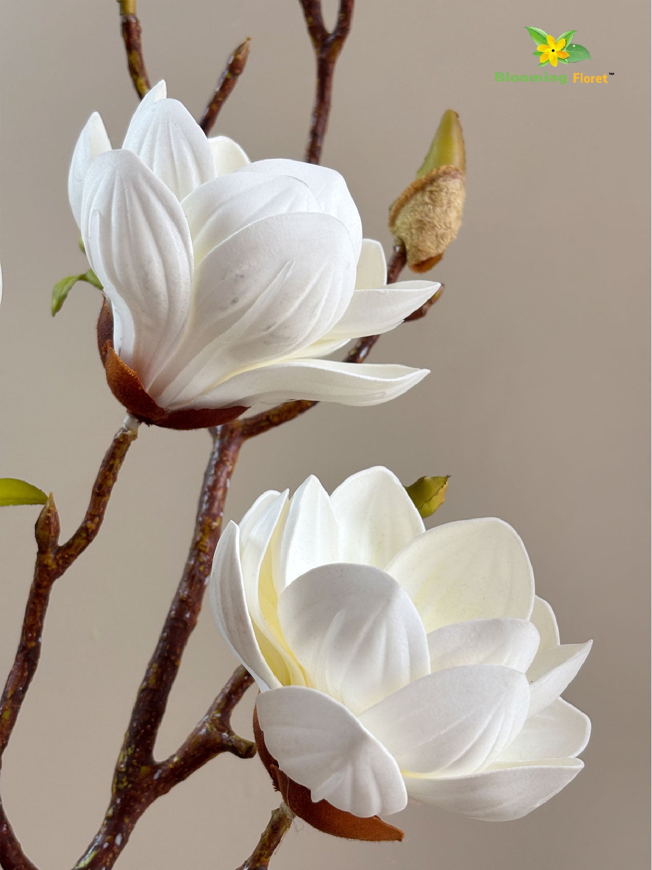 Magnolia Ikebana Flower Stick - White