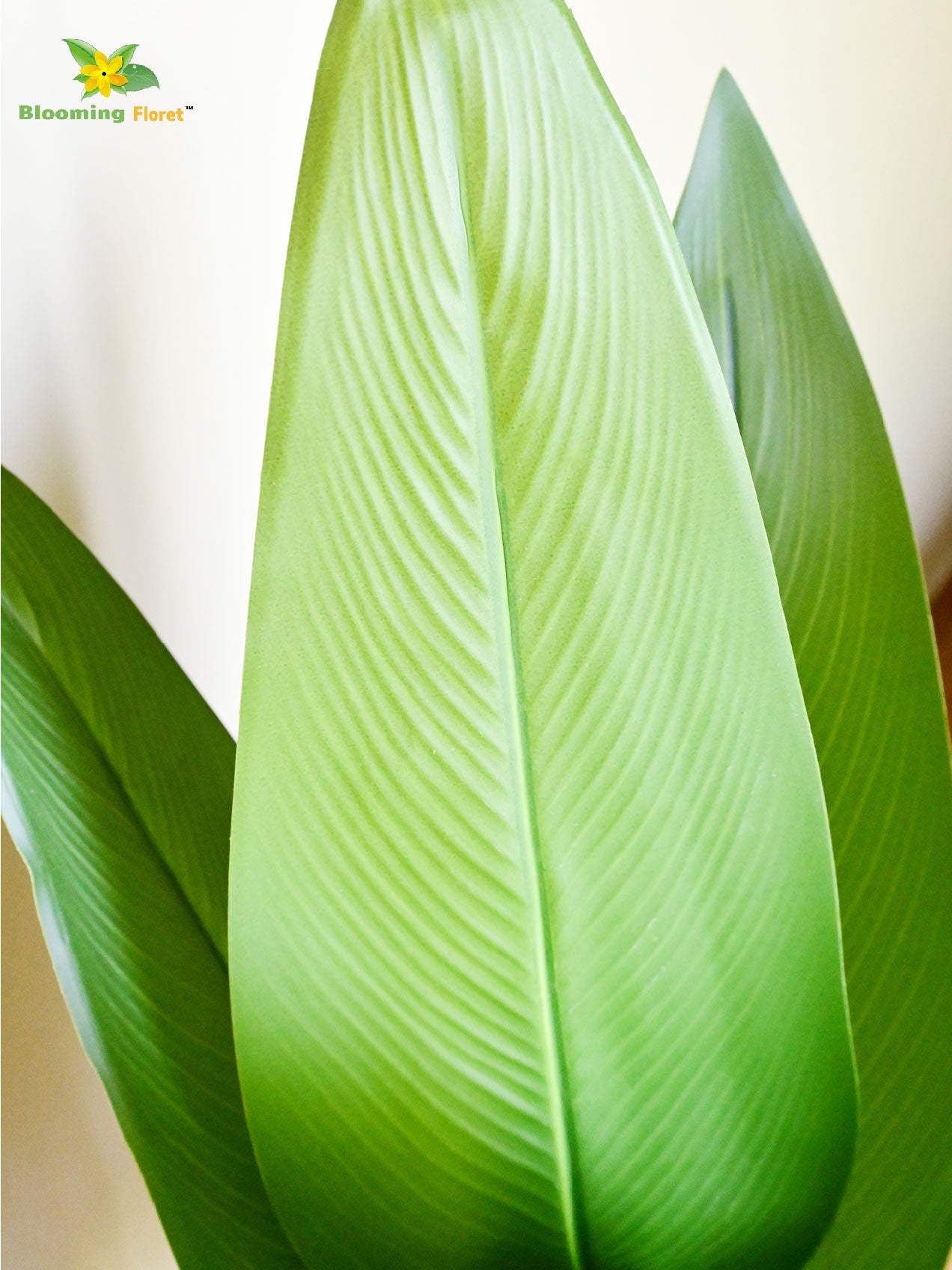 Artificial Bird of Paradise Plant – 119 cm, 15 Leaves with Basic Pot