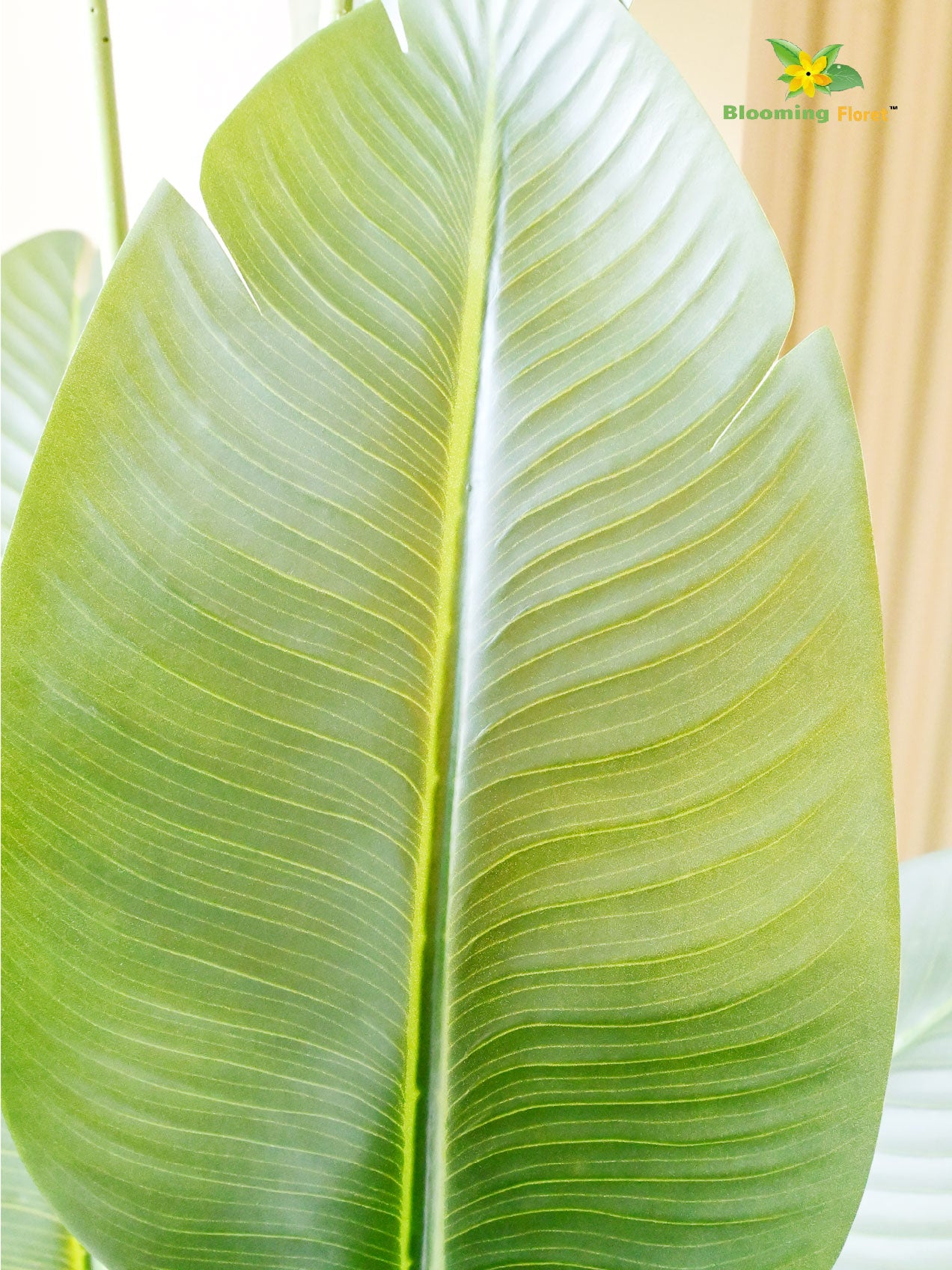 Artificial Banana Leaf Plant – 220 cm, with Basic Pot