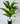 Artificial Cast-Iron Plant For Decor having 26 Leaves with Pot | 71.1 cm Tall