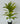 Artificial Yellow Iceton Croton Plant For Decor