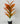 Artificial Red Iceton Croton Plant For Decor