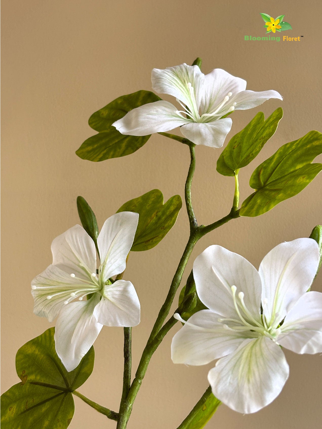 Artificial Bauhinia Plant – 1.6m, White