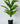 Artificial Cast-Iron Plant For Decor having 26 Leaves with Pot | 71.1 cm Tall