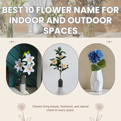 Best 10 Flower Name for Indoor and Outdoor Spaces