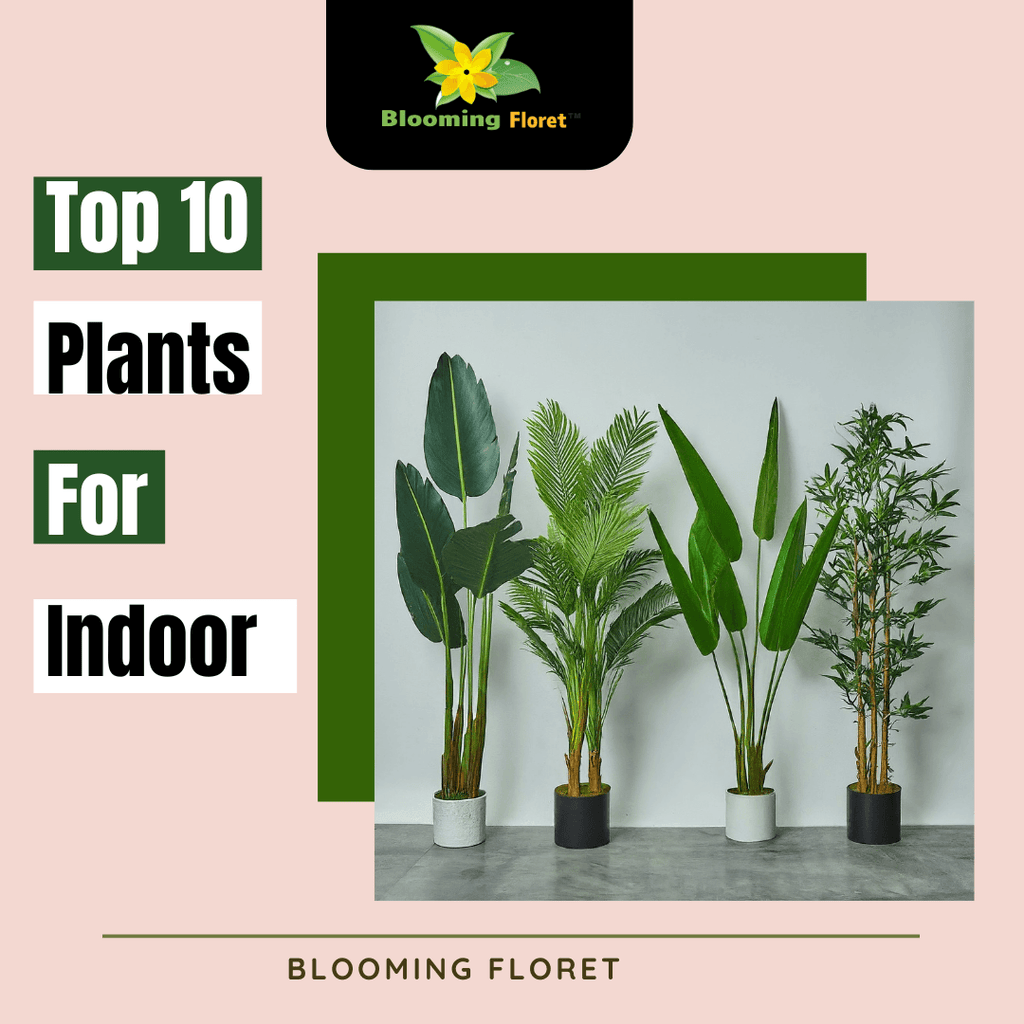 Best 10 Tall Artificial Plants for Indoor Space