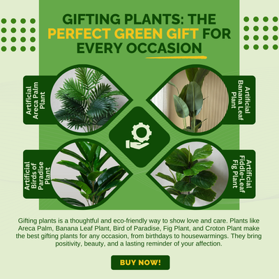 Gifting Plants: The Perfect Green Gift for Every Occasion