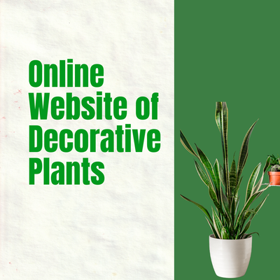Online Website of Decorative Plants