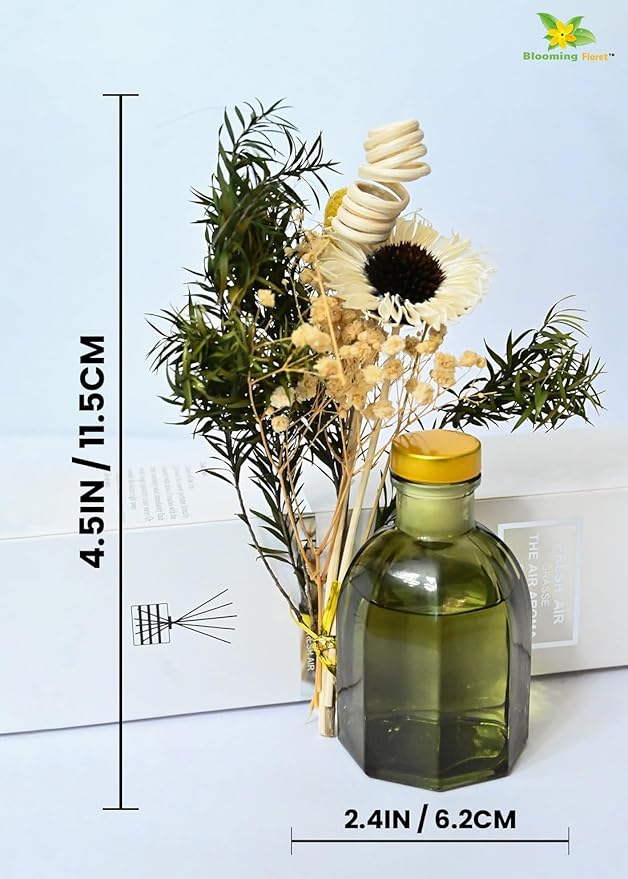 Fragrance Diffuser for Home