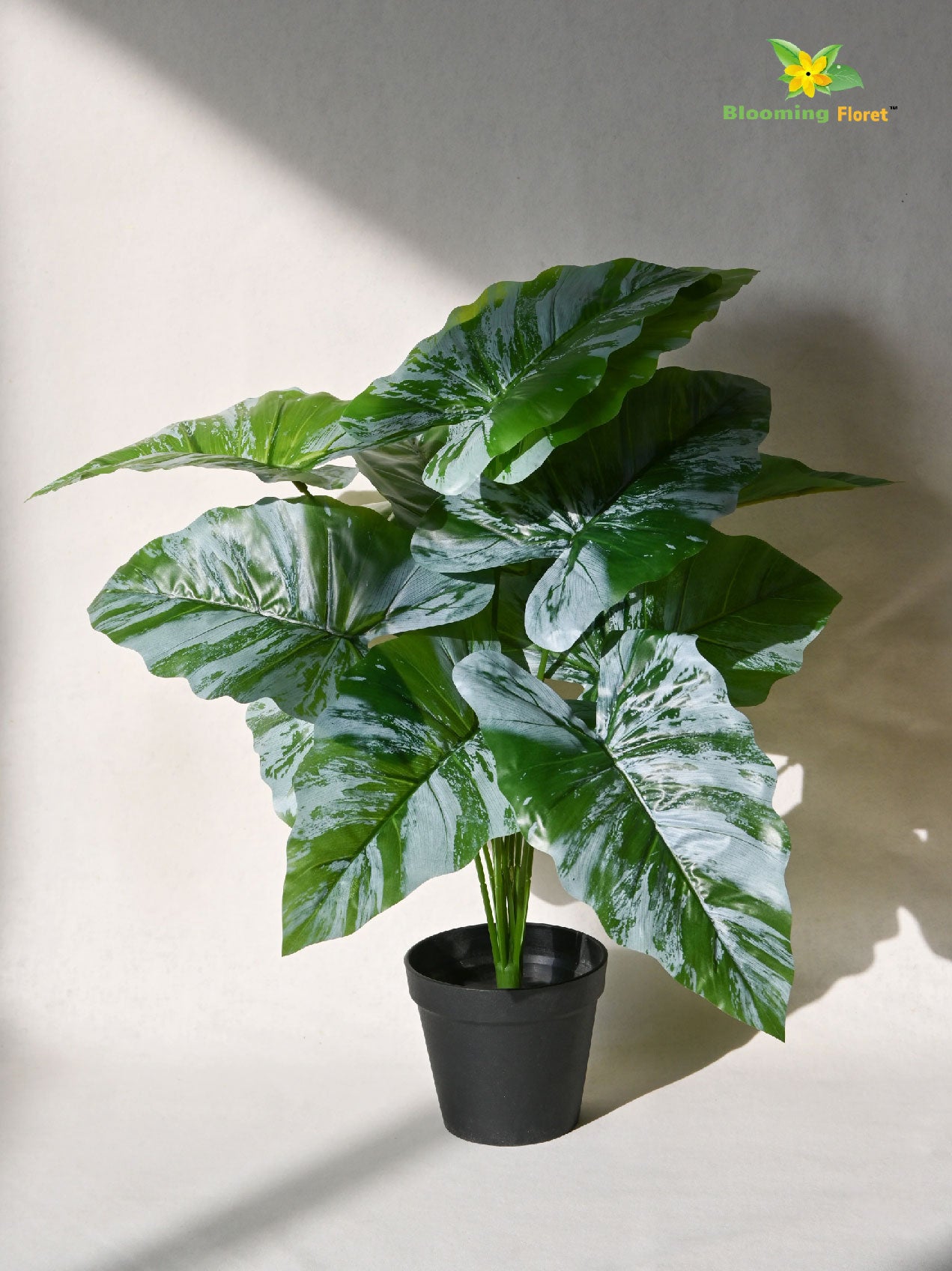 Artificial Caladium Plant – 65 cm, 12 Green and White Leaves, with Basic Pot