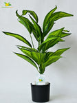 Artificial Cast-Iron Plant – 71 cm, 26 Leaves, with Pot