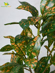 Artificial Dracaena Surculosa Plant – 45.7 cm, Basic Pot