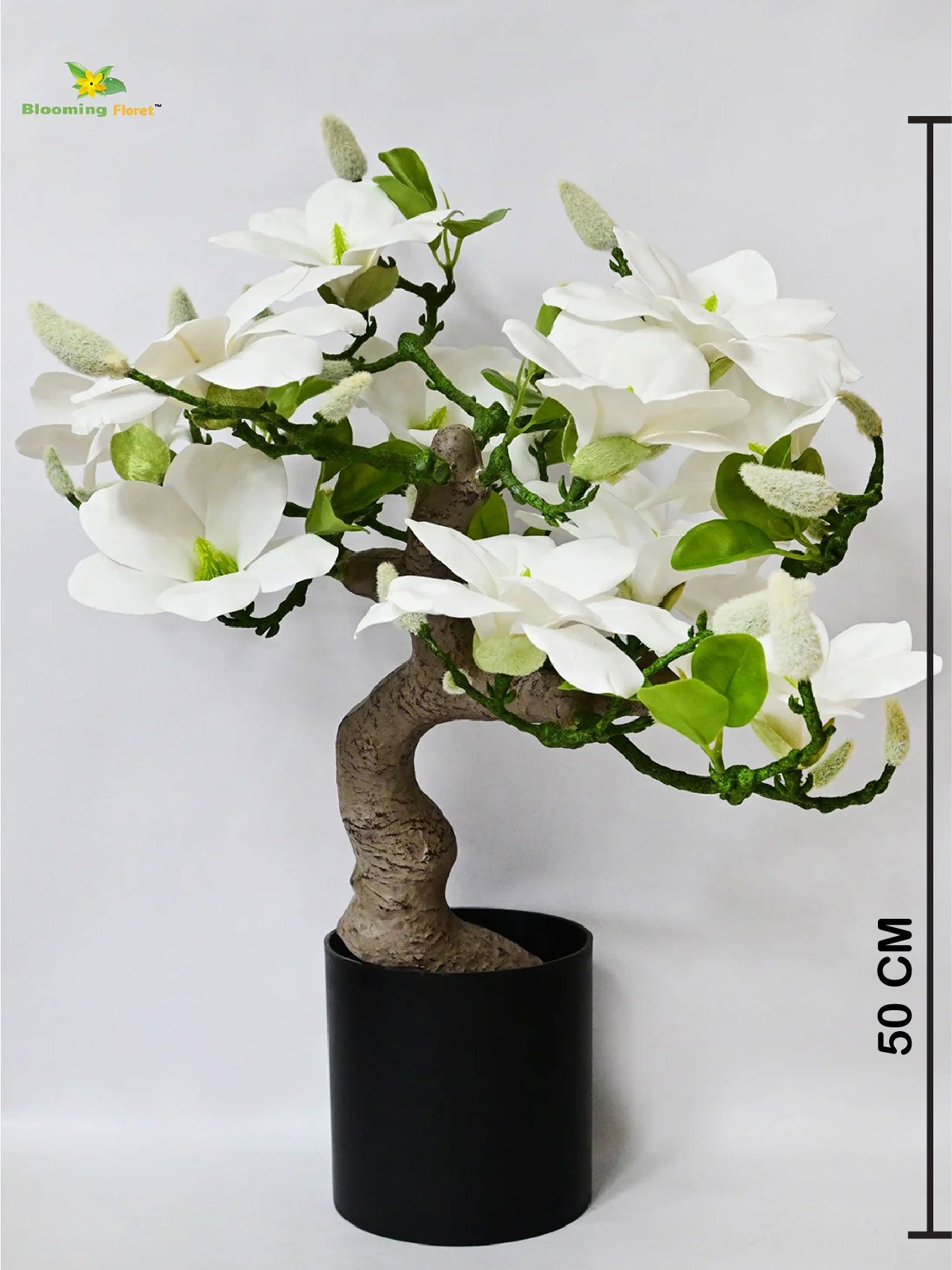 Mini Magnolia Flower Tree - White