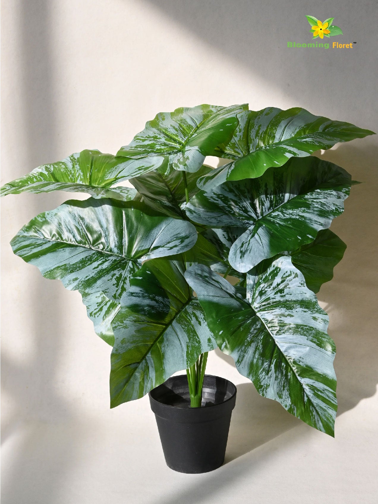 Artificial Caladium Plant – 65 cm, 12 Green and White Leaves, with Basic Pot