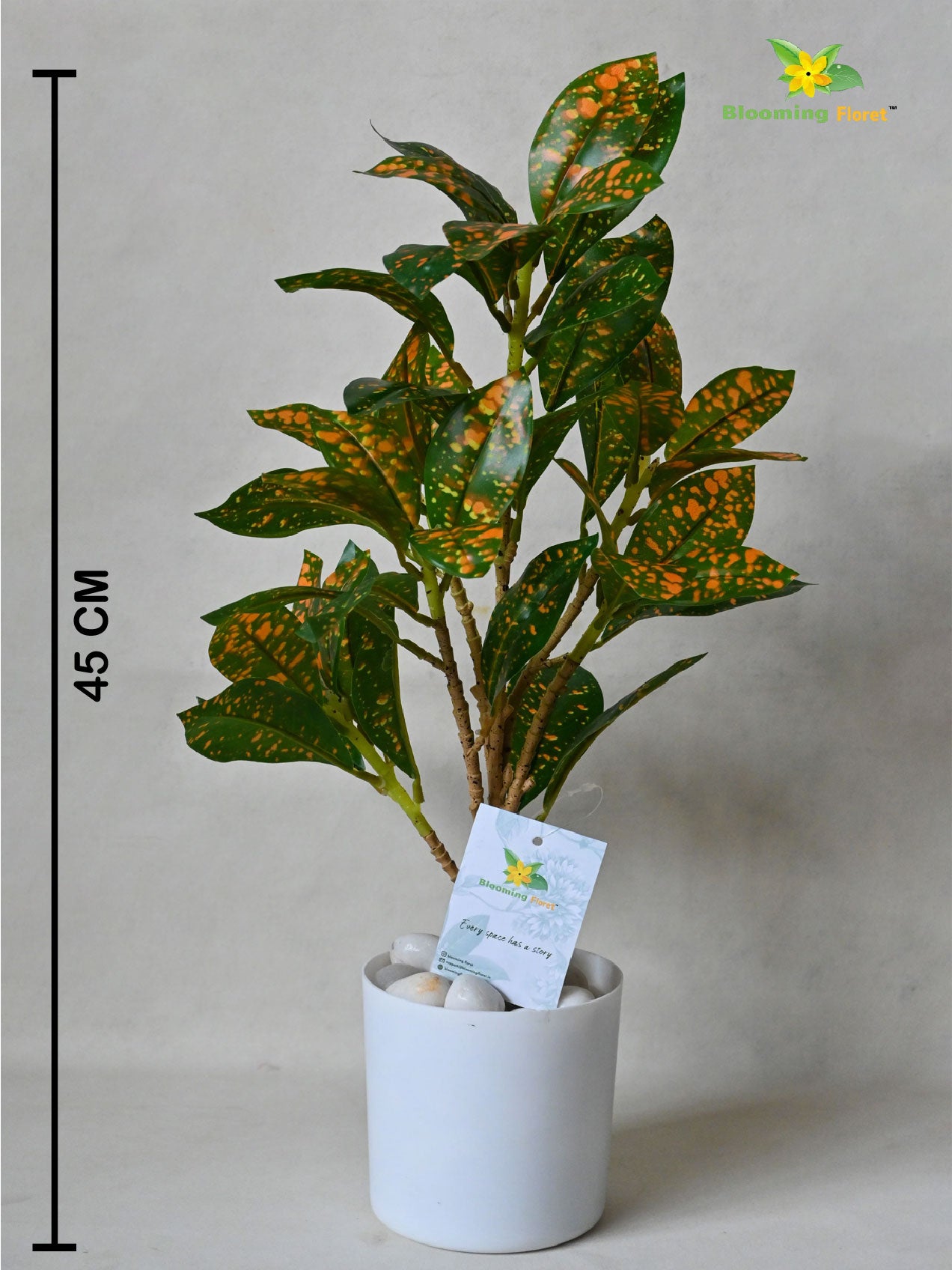Artificial Dracaena Surculosa Plant | 39 cm | With Basic Pot