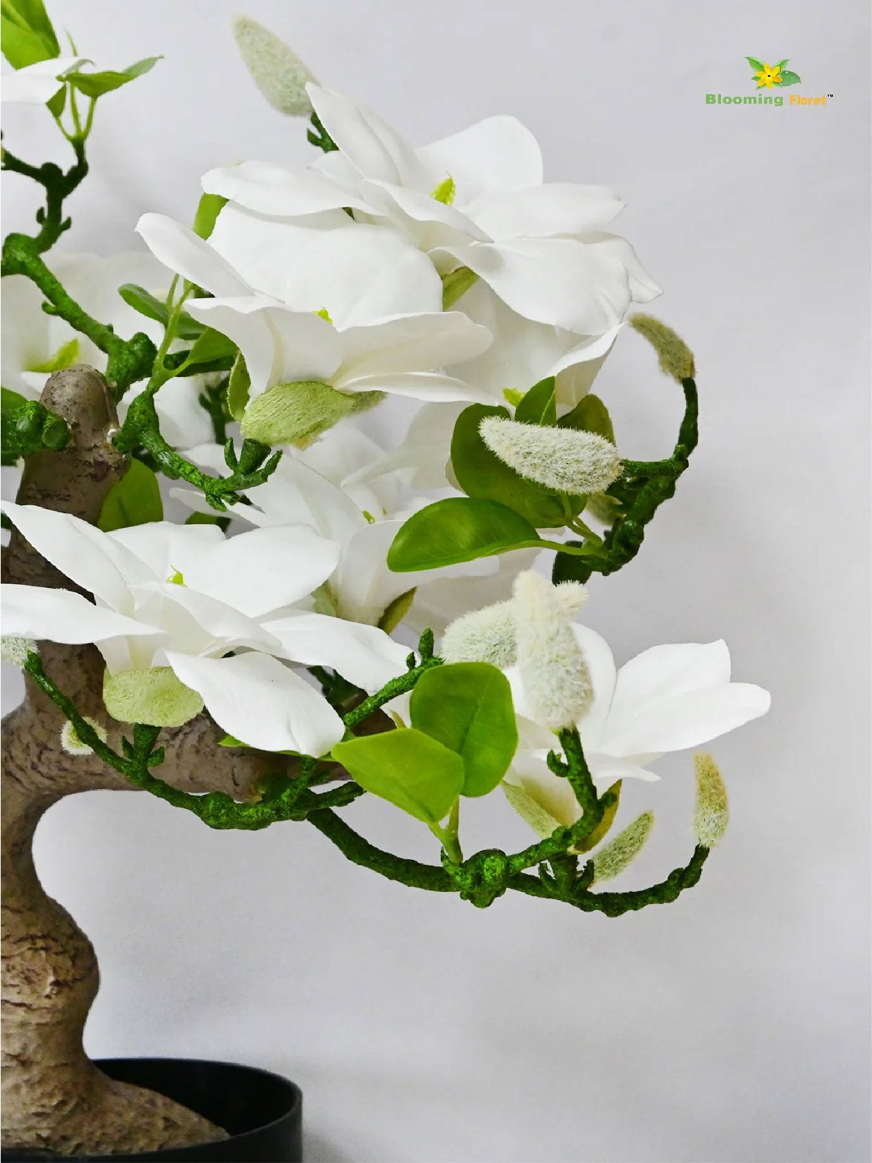 Mini Magnolia Flower Tree - White