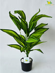 Artificial Cast-Iron Plant – 71 cm, 26 Leaves, with Pot