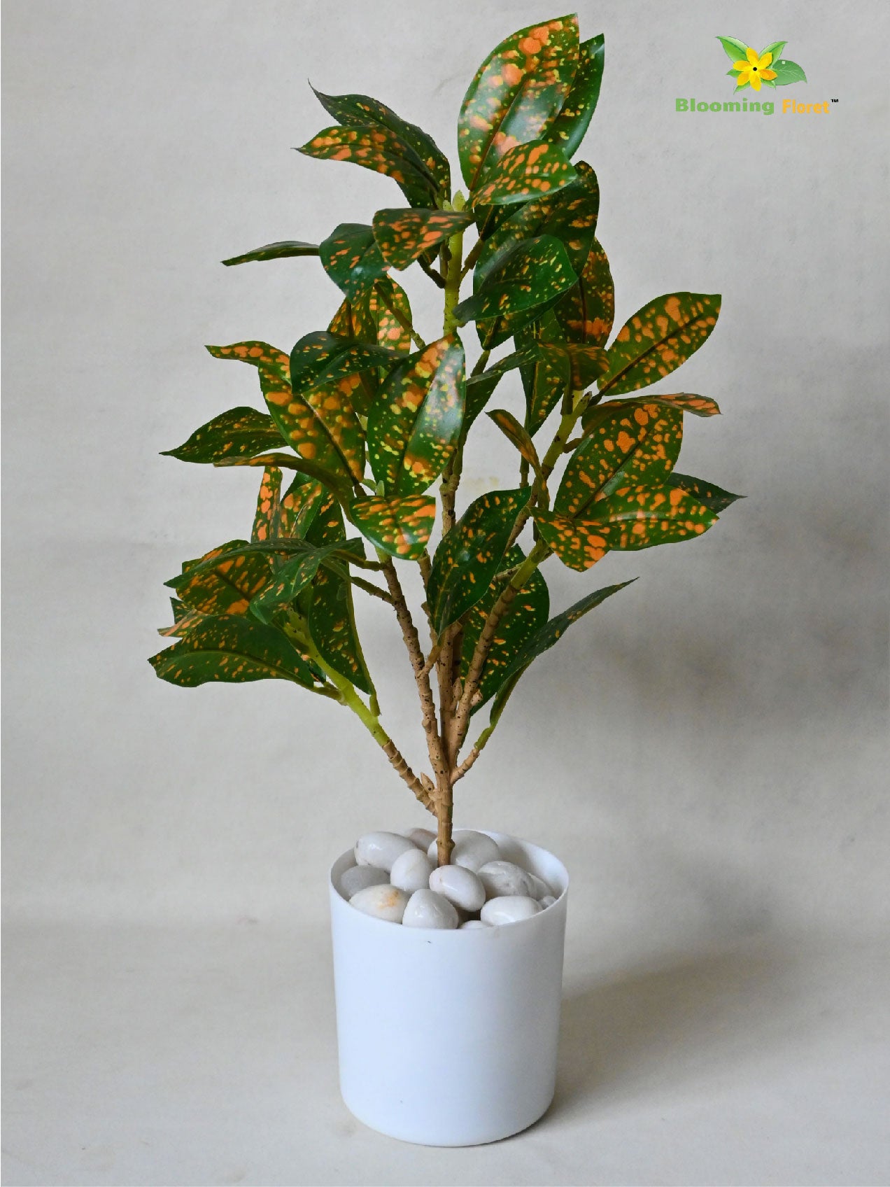 Artificial Dracaena Surculosa Plant | 39 cm | With Basic Pot