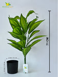 Artificial Cast-Iron Plant – 71 cm, 26 Leaves, with Pot