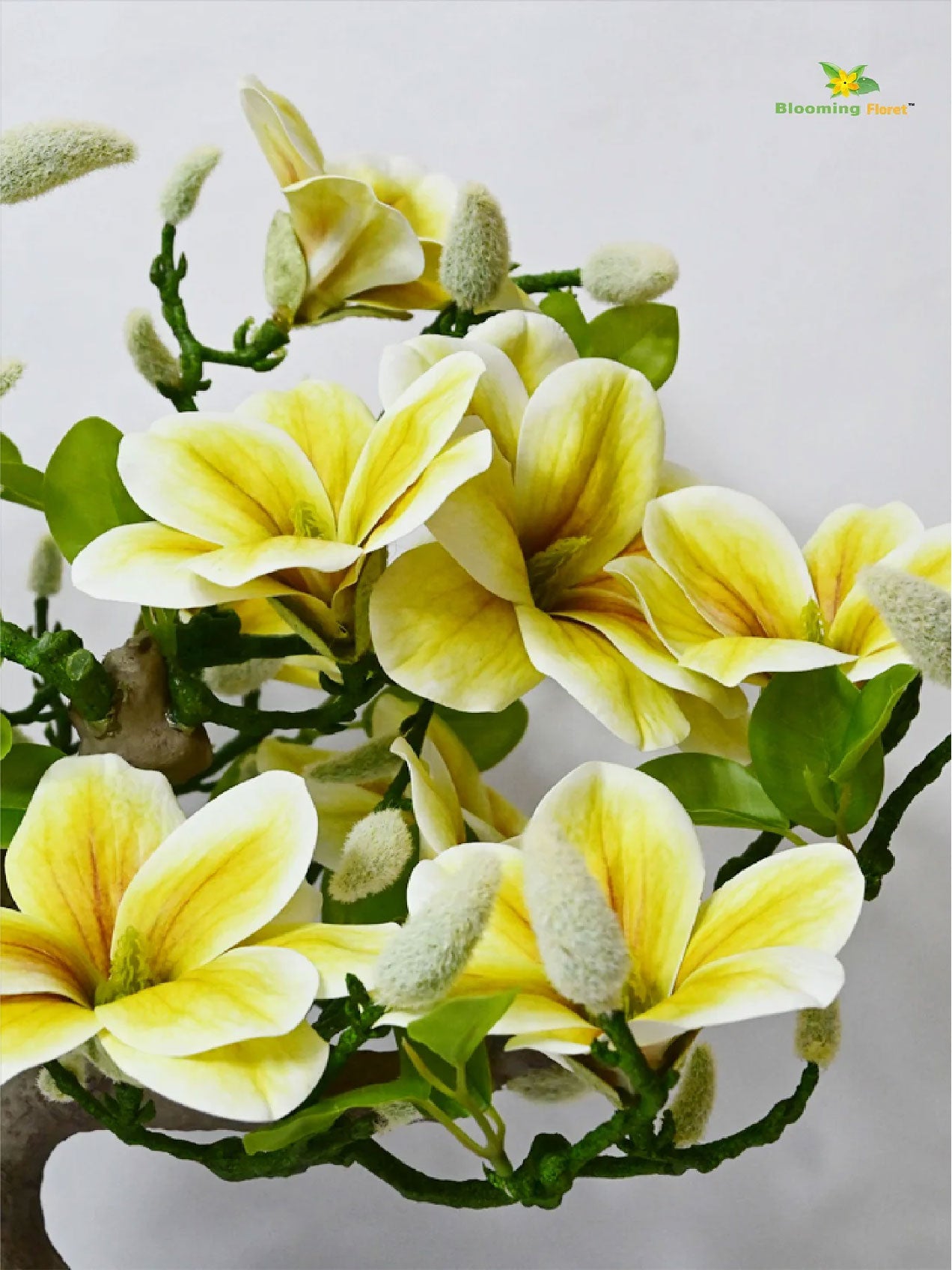 Mini Magnolia Flower Tree - Green