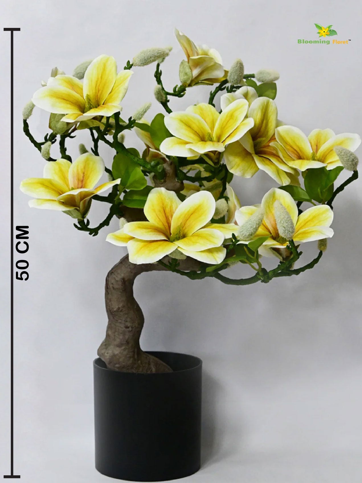 Mini Magnolia Flower Tree - Green