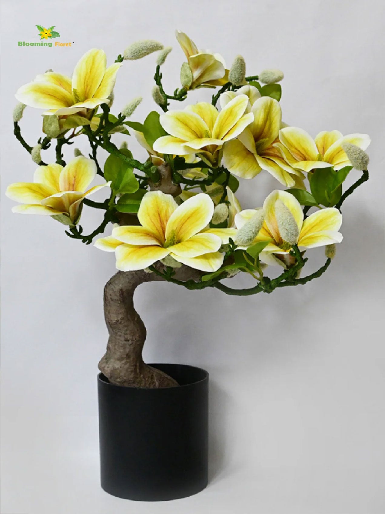 Mini Magnolia Flower Tree - Green