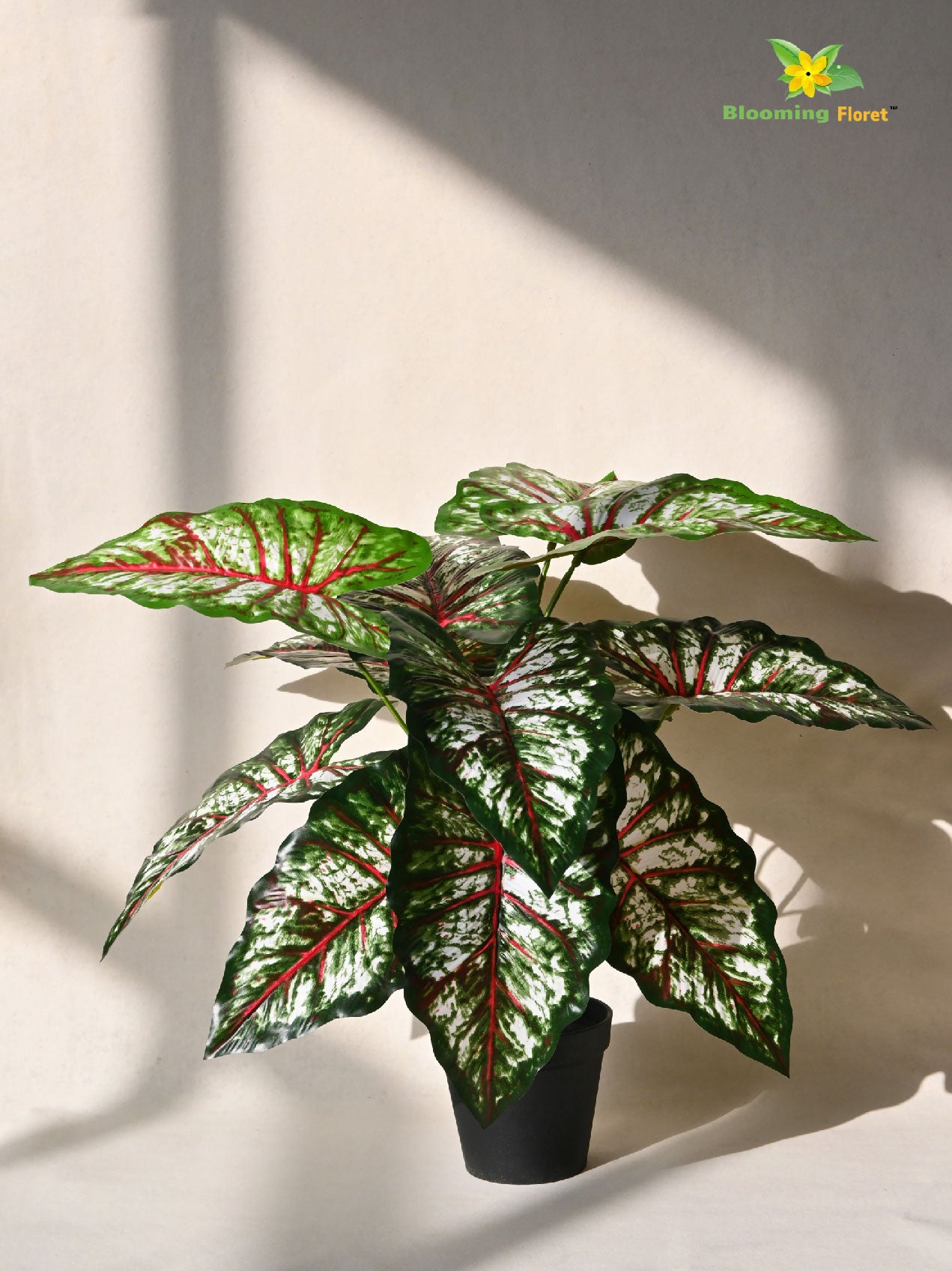 Artificial Caladium Plant – 65 cm, 12 Patterned Green, Pink and White Leaves, with Basic Pot