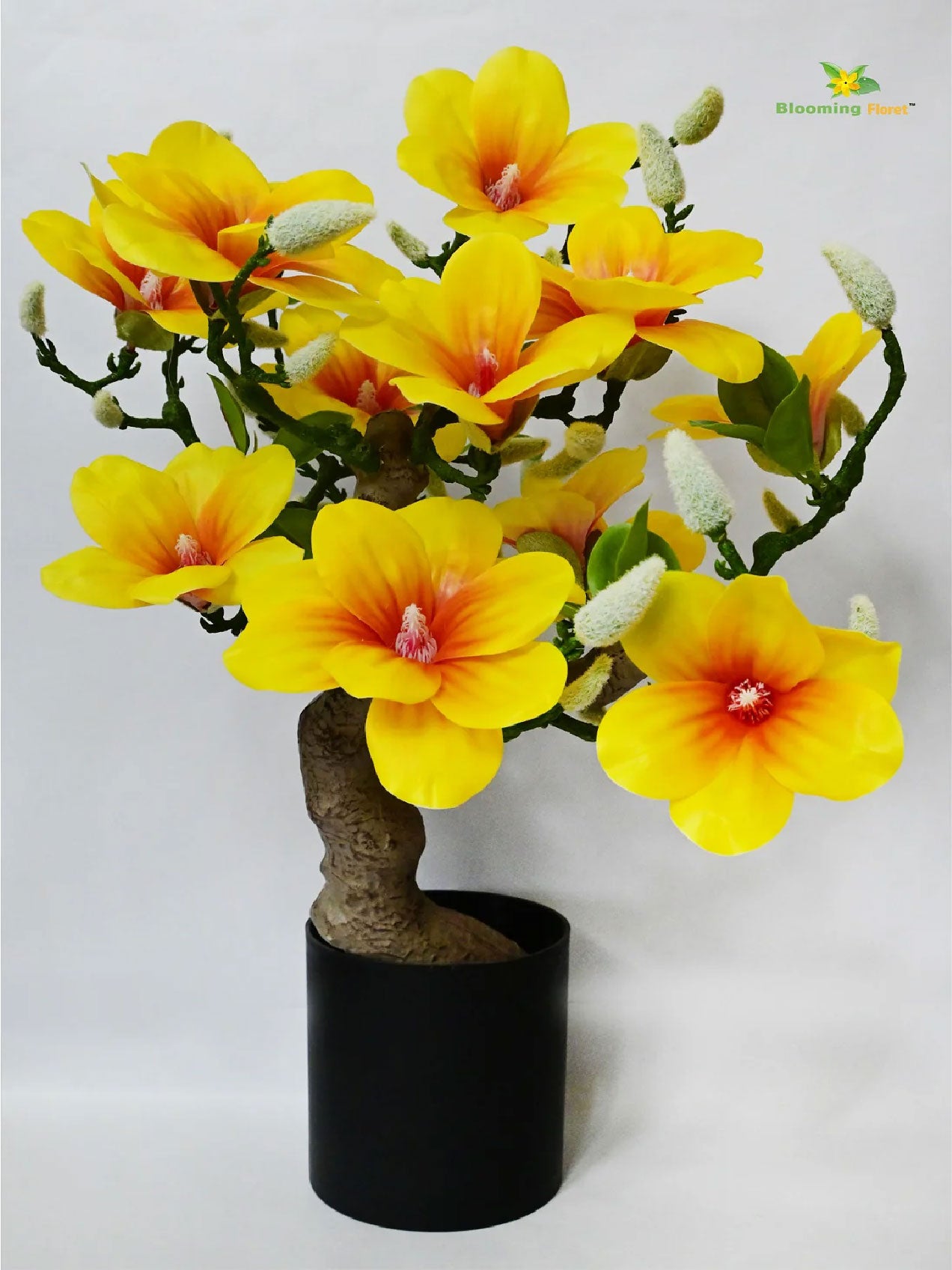Mini Magnolia Flower Tree | Yellow | 52 cm