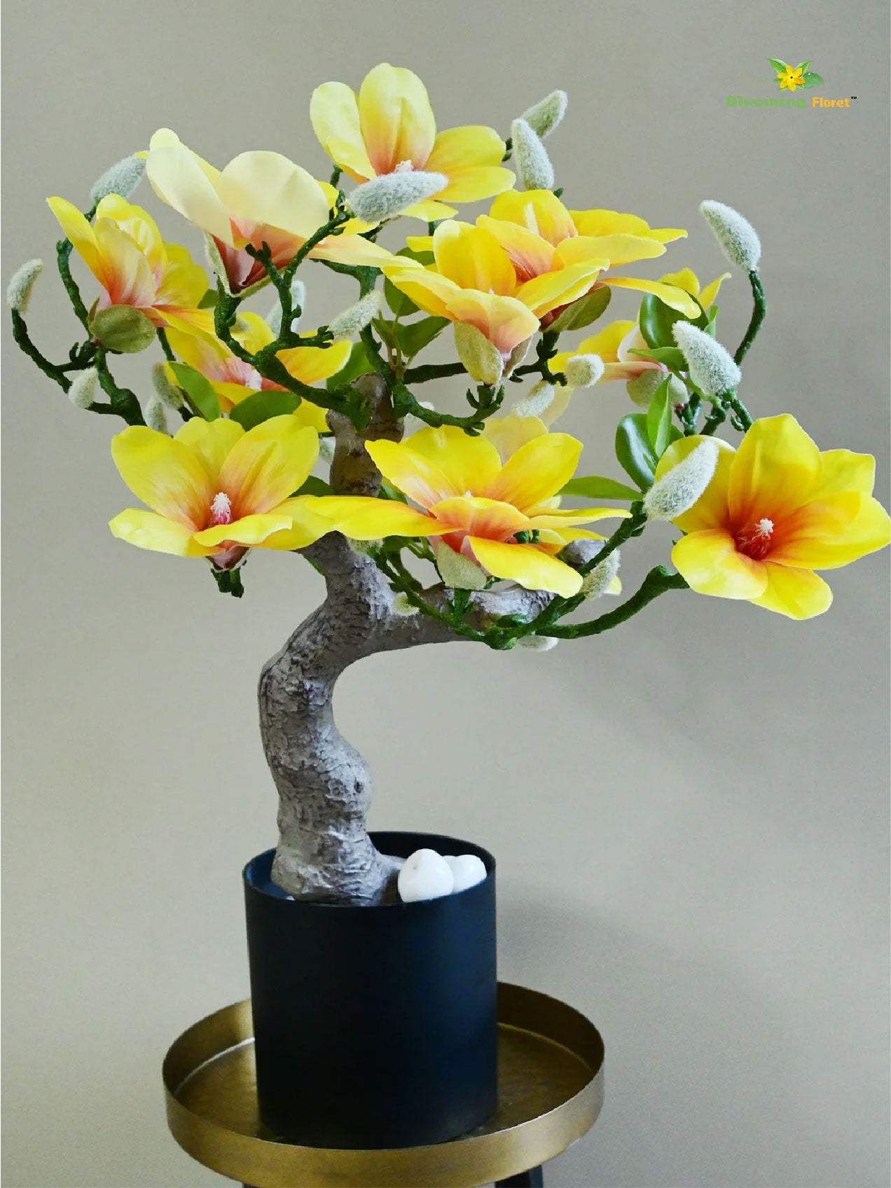 Mini Magnolia Flower Tree | Yellow | 52 cm