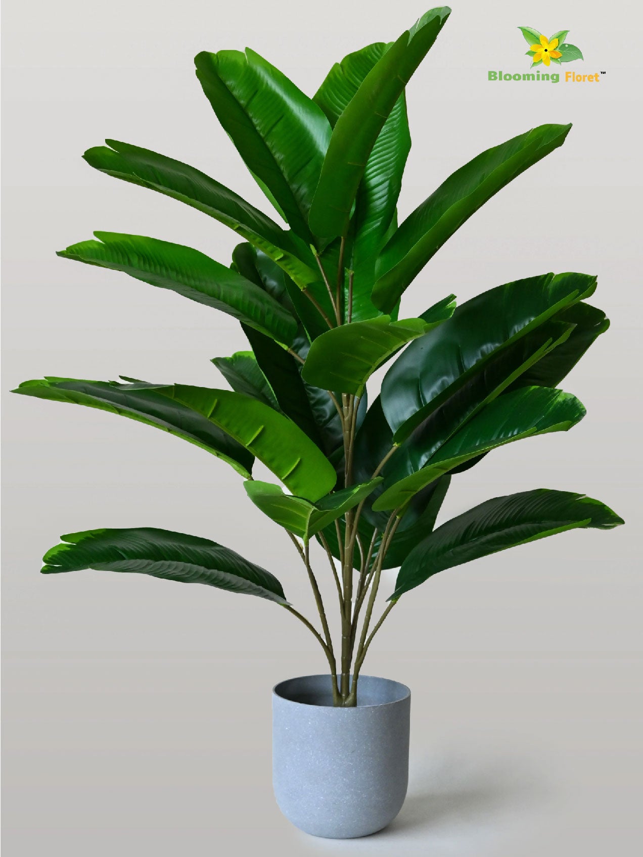 Artificial Birds of Paradise Plant - 74.5 cm, 21 Green Leaves with Basic Pot