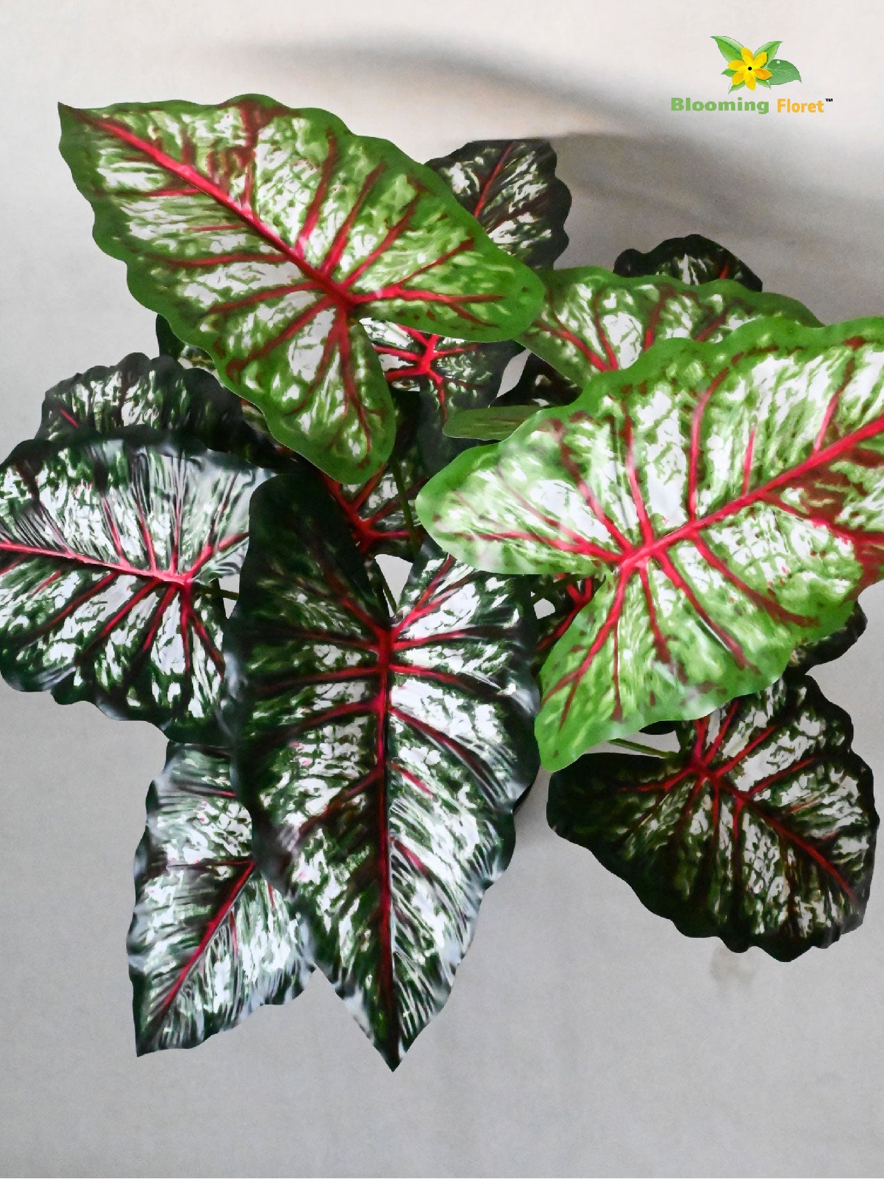 Artificial Caladium Plant – 65 cm, 12 Patterned Green, Pink and White Leaves, with Basic Pot