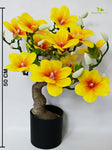 Mini Magnolia Flower Tree - Yellow