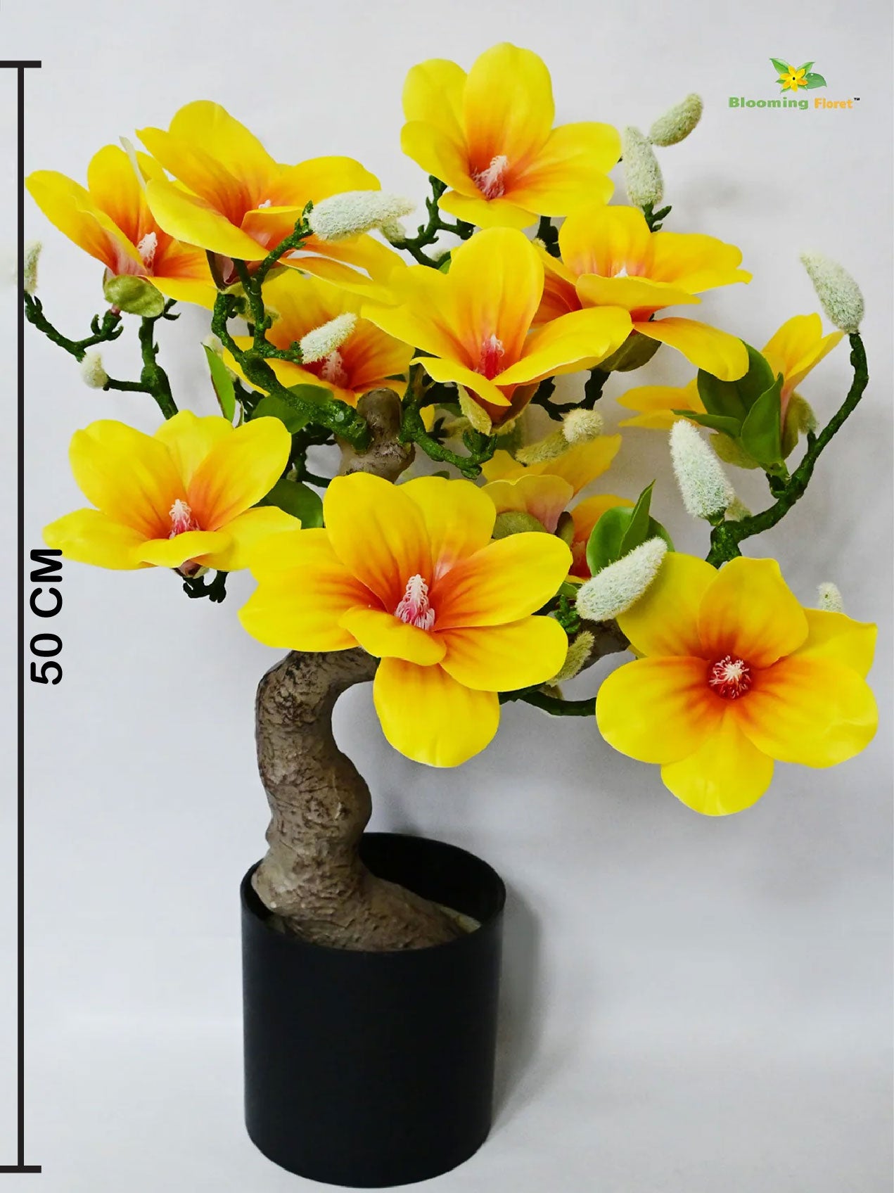 Mini Magnolia Flower Tree | Yellow | 52 cm