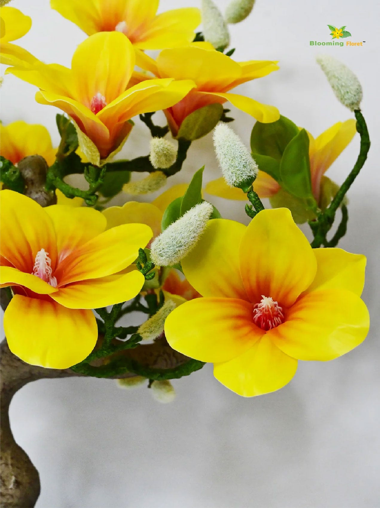 Mini Magnolia Flower Tree | Yellow | 52 cm
