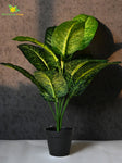 Artificial Dieffenbachia Plant – 63.5 cm, 12 Green-Yellow Leaves, with Basic Pot