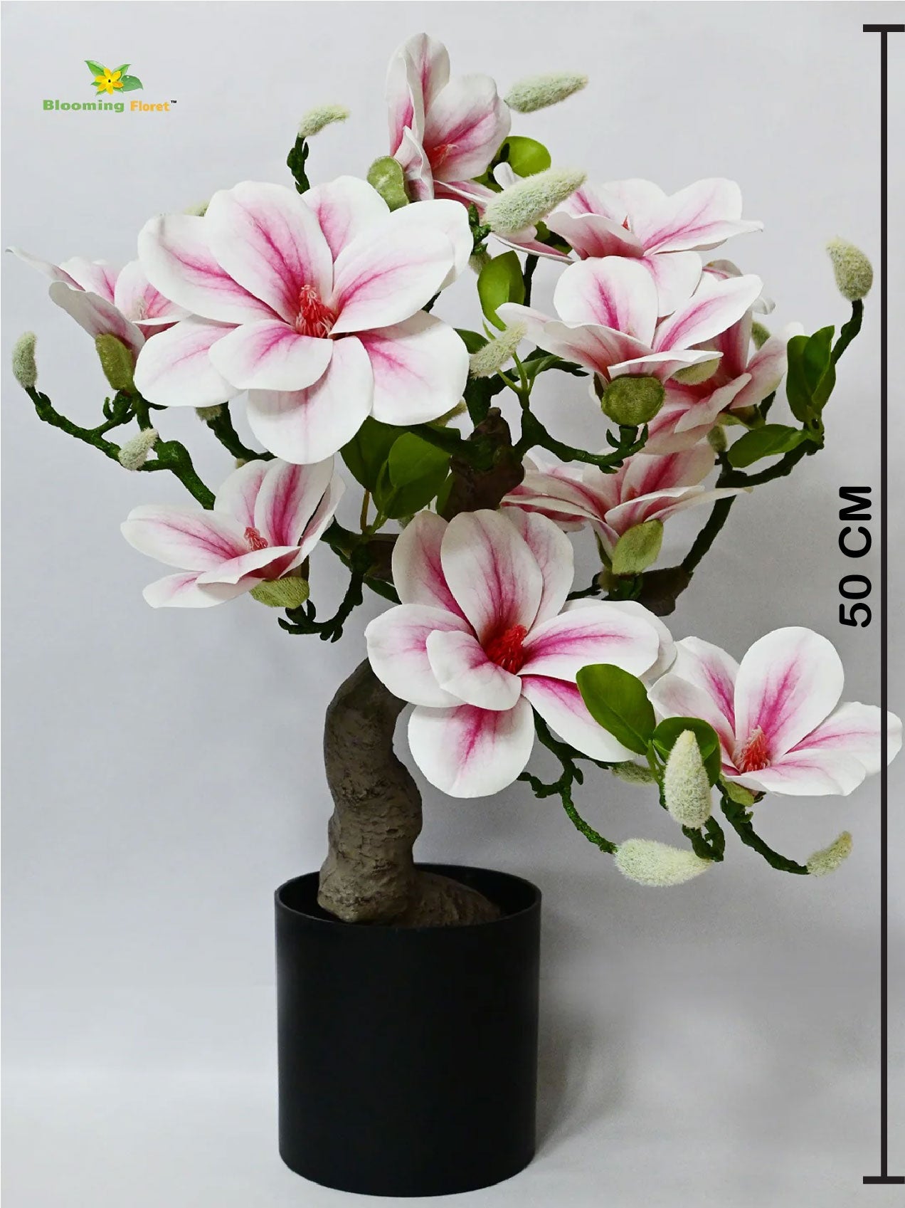 Mini Magnolia Flower Tree | Pink | 52 cm