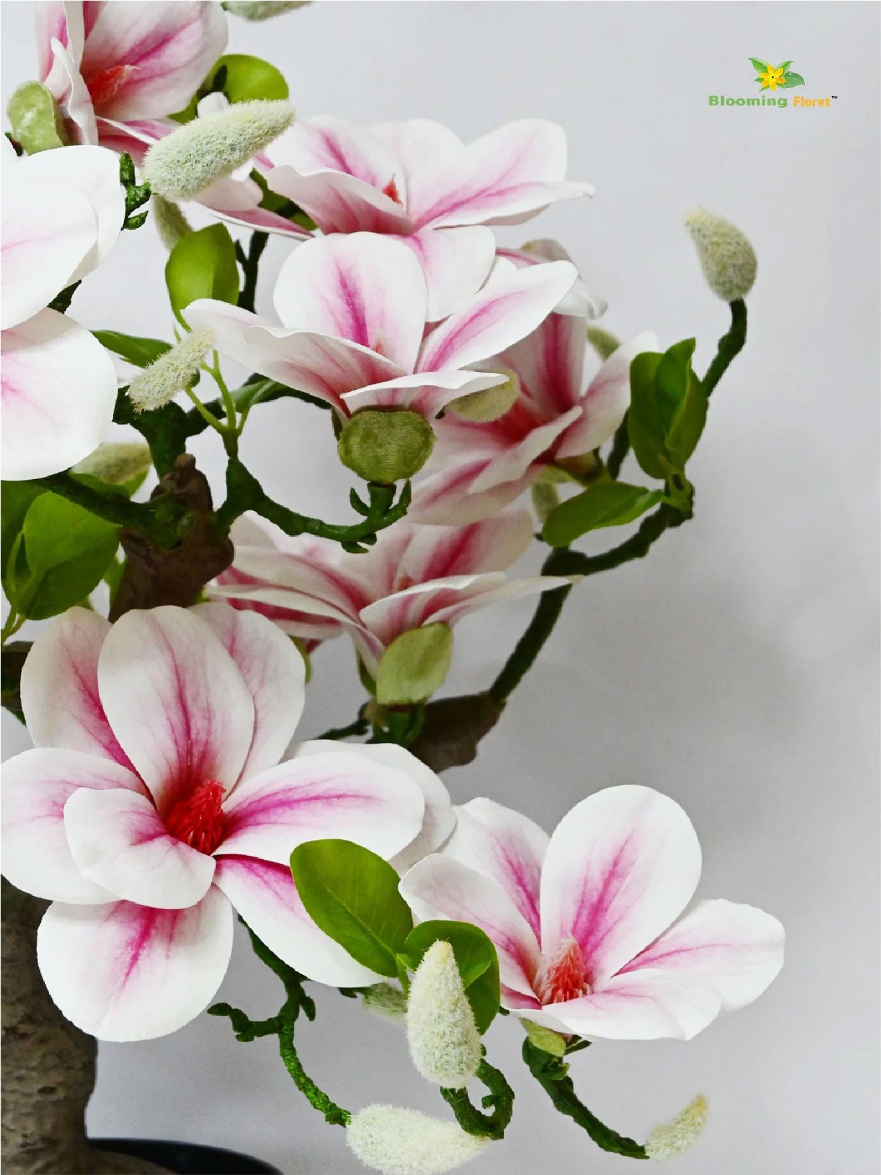 Mini Magnolia Flower Tree | Pink | 52 cm