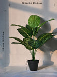 Artificial Dieffenbachia Plant – 63.5 cm, 12 Green-Yellow Leaves, with Basic Pot
