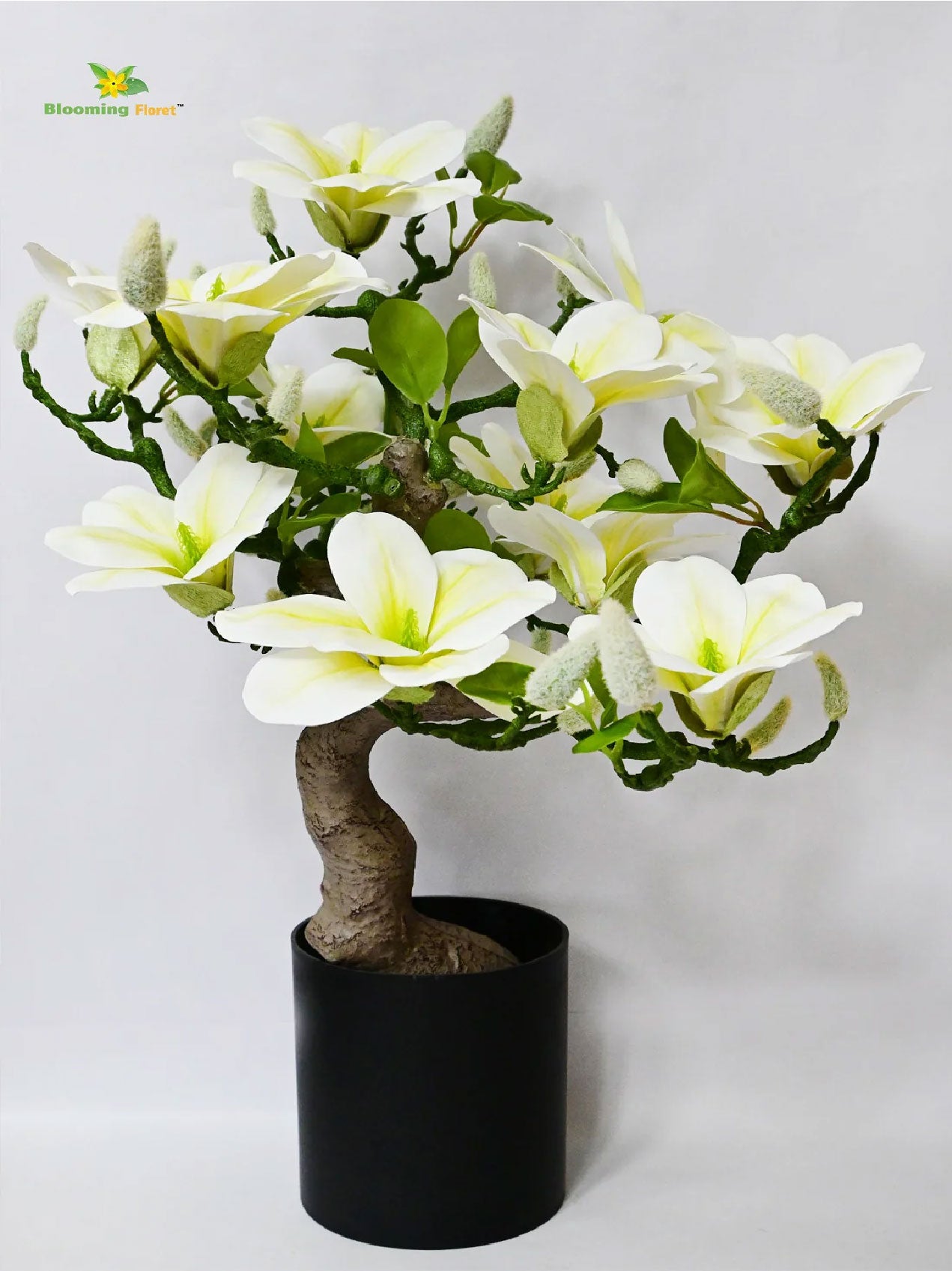 Mini Magnolia Flower Tree - White, Green