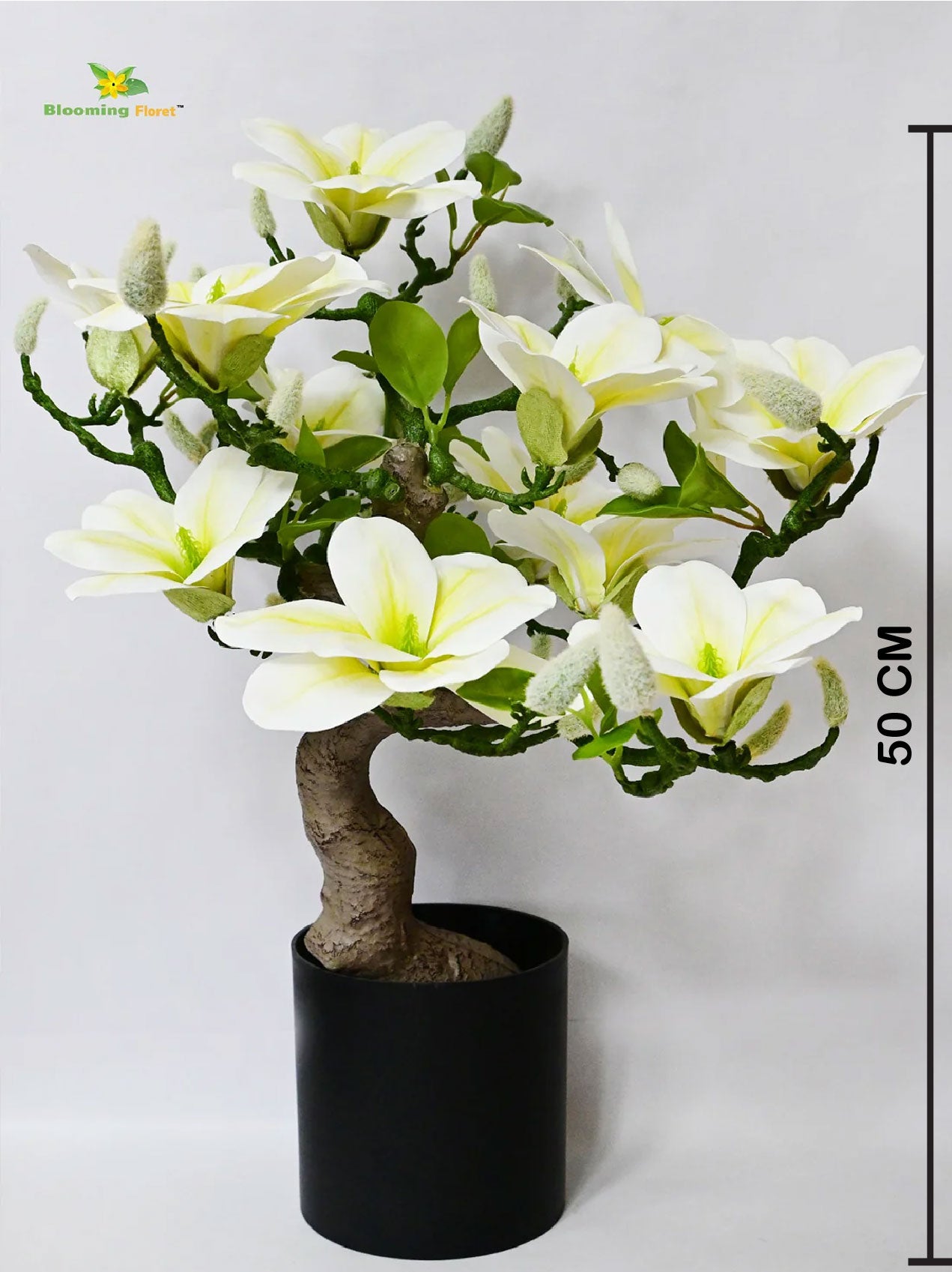 Mini Magnolia Flower Tree - White, Green