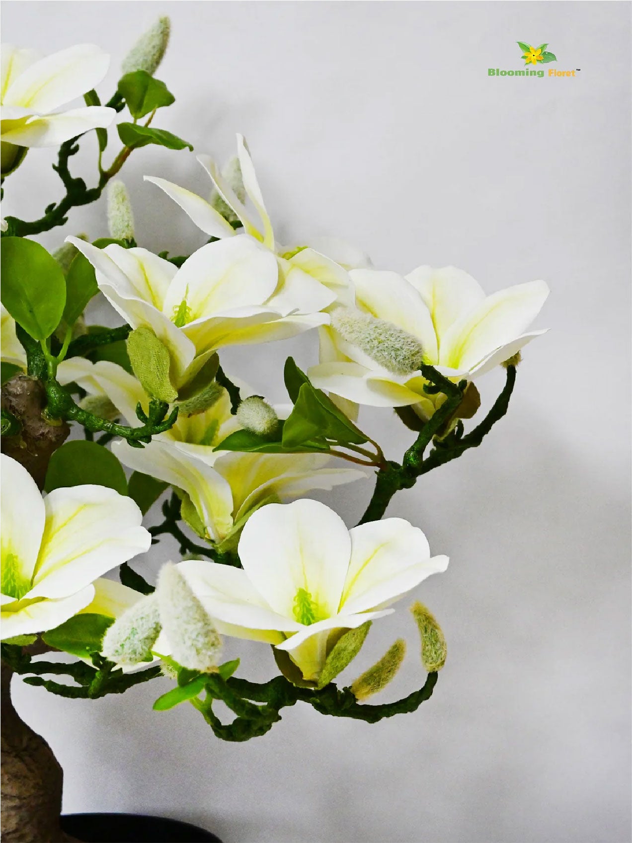 Mini Magnolia Flower Tree - White, Green
