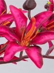 Artificial Cymbidium Orchid Bunch Flower - Dark Red