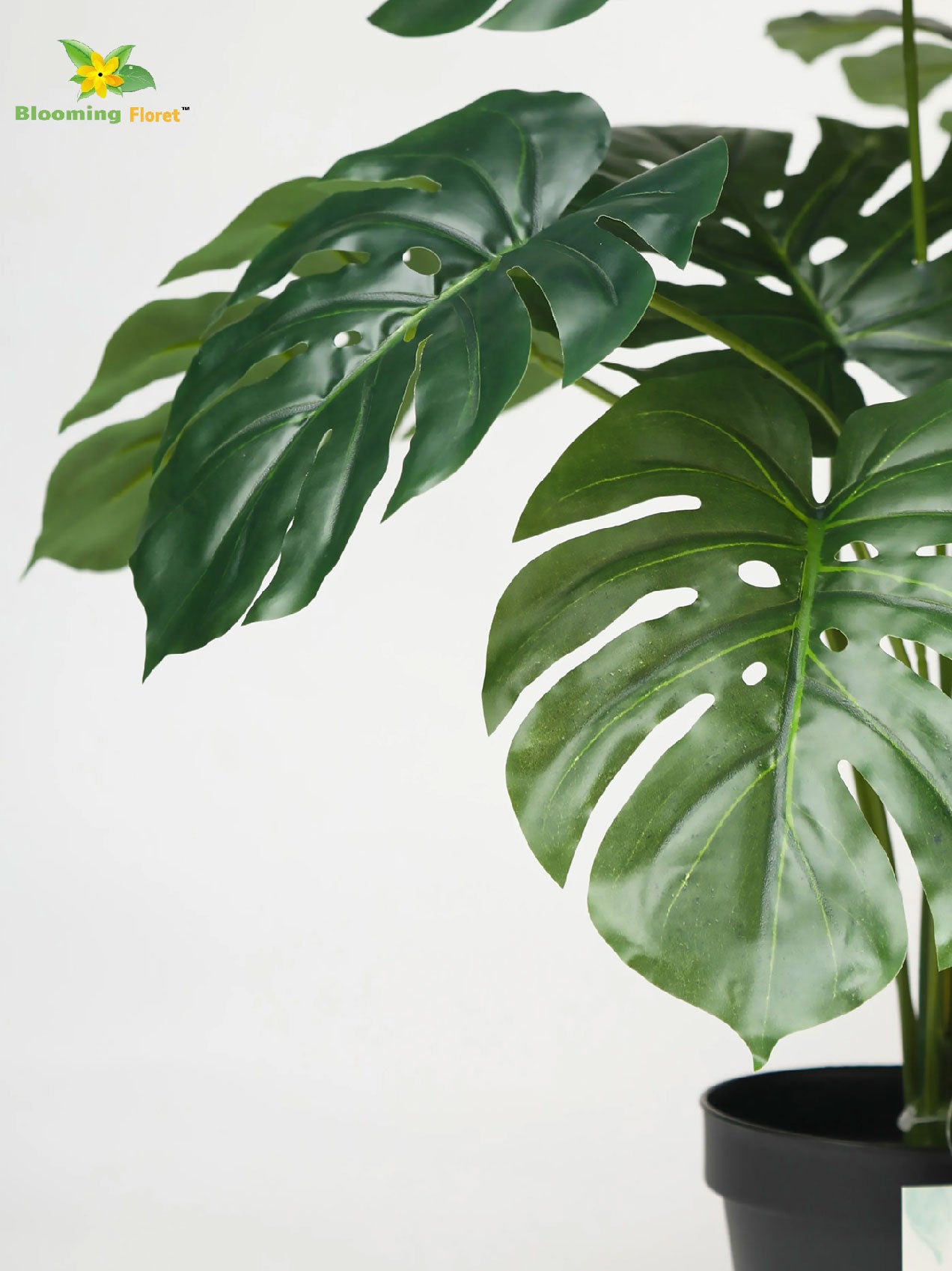 Artificial Monstera Plant – 50.8 cm, 12 Leaves, with Basic Pot