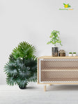 Artificial Fan Palm Plant – 78 cm, 18 Patterned Green Leaves, with Basic Pot
