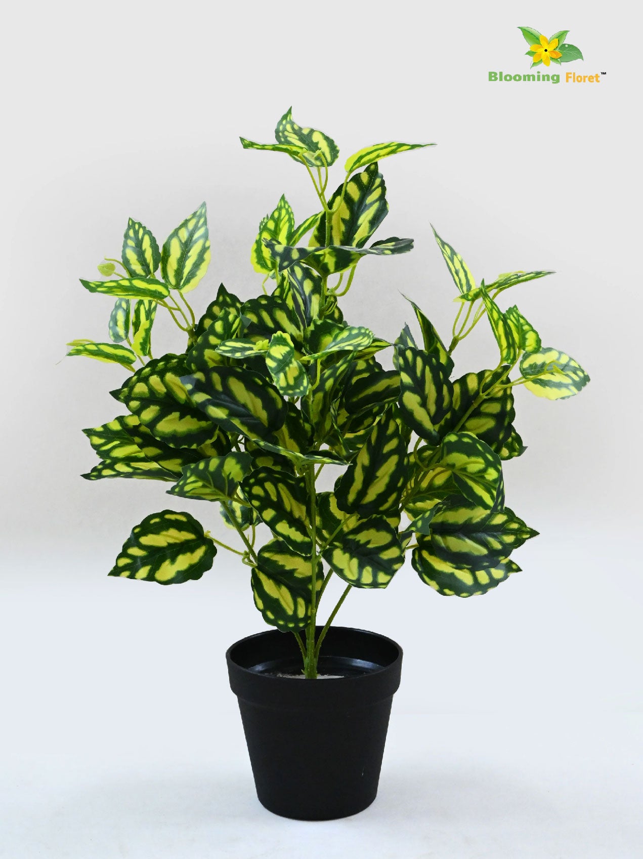 Artificial Peacock Plant – 48.3 cm, with Basic Pot