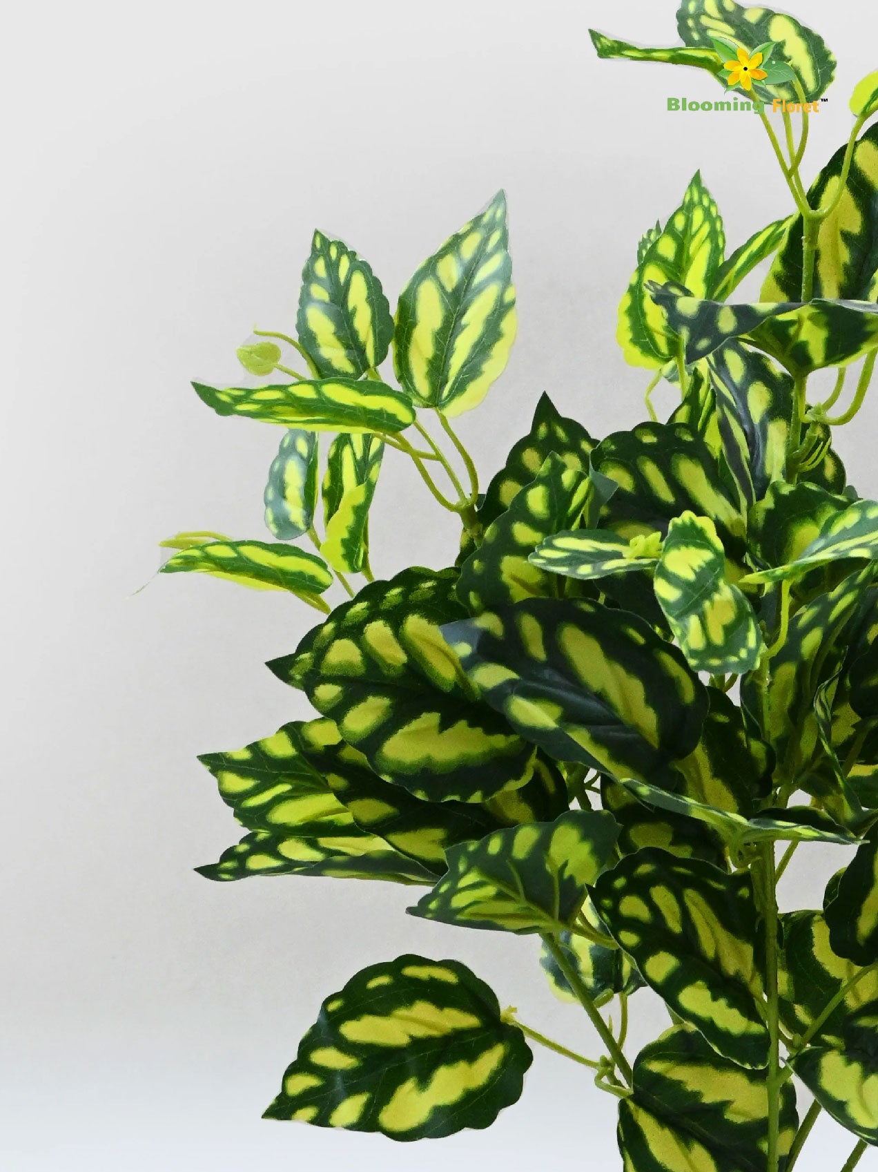 Artificial Peacock Plant – 48.3 cm, with Basic Pot