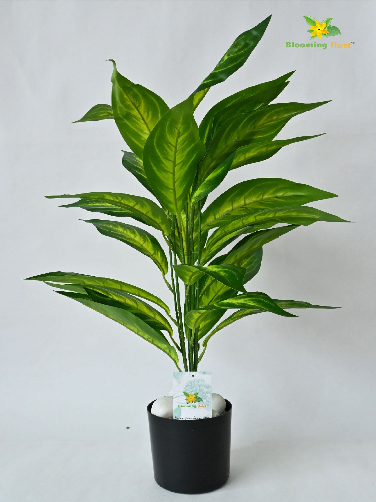 Artificial Dieffenbachia Amoena Plant – 71 cm, 26 Leaves, with Pot