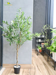 Overleaf Faux Olive Tree - 145 cm